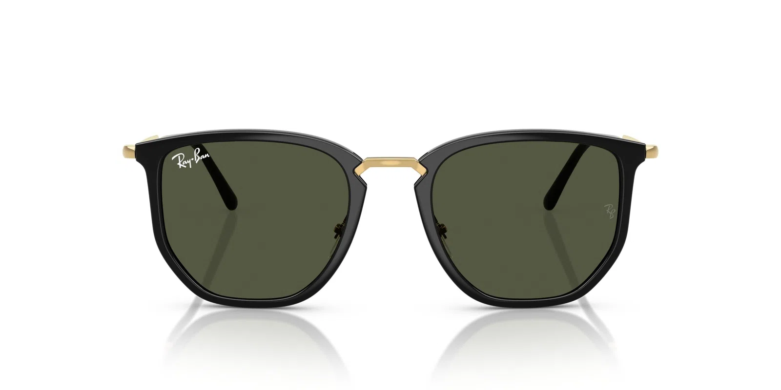 Ray-Ban 4451 Sunglasses - view 36
